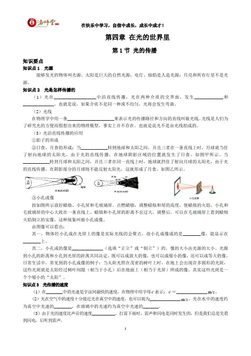 初二上第四章在光的世界里第一节A