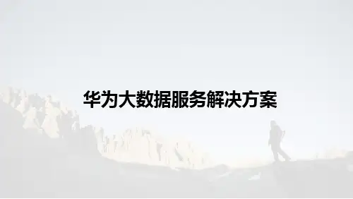 大数据服务解决方案