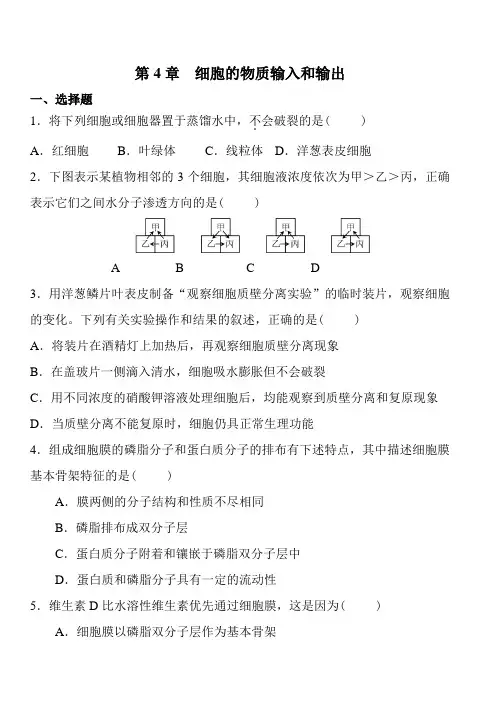 高中生物必修一第四章练习及答案