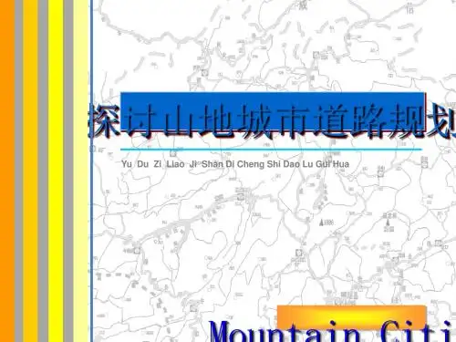 探讨山地城市道路规划培训课件(ppt 55张)
