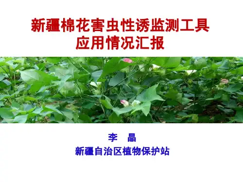 新疆棉花害虫性诱监测工具应用情况汇报