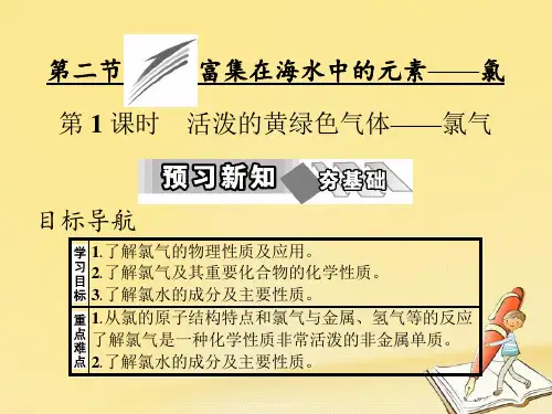 高中化学(人教版)必修一教学课件：第四章 第二节 第1课时
