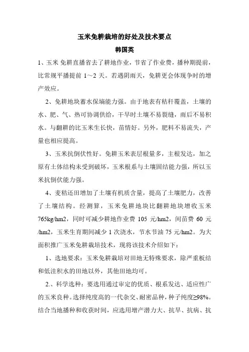 玉米免耕栽培的好处及技术要点