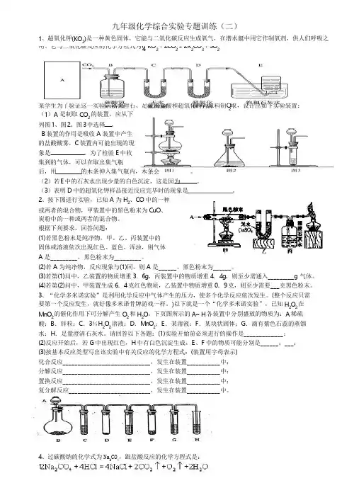 九年级化学综合实验专题训练(二)