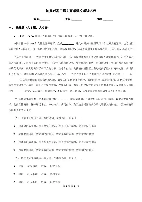 汕尾市高三语文高考模拟考试试卷