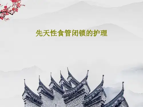 先天性食管闭锁的护理29页PPT