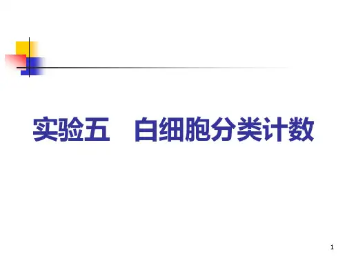 实验五 白细胞分类计数(课堂PPT)