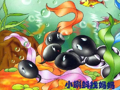 [幼教大班课件]故事：小蝌蚪找妈妈