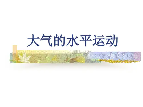 大气的水平运动 ppt课件