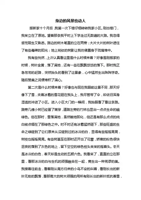 初二作文：身边的风景也动人作文