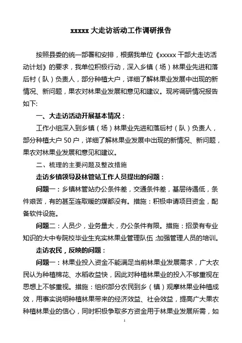 大走访调研报告