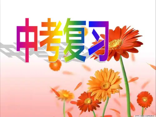 语文 中考总结 积累与运用PPT课件