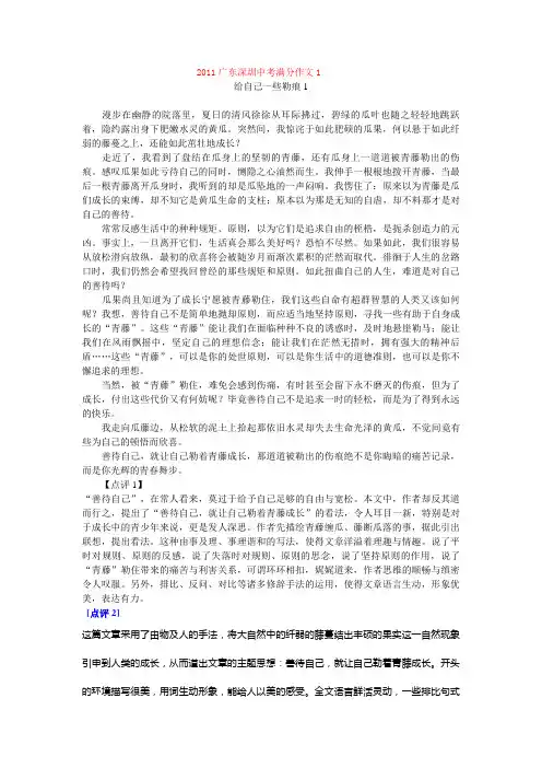 2019广东深圳中考满分作文(6篇