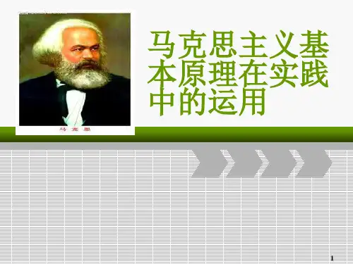 马克思主义基本原理在实践中的运用ppt课件