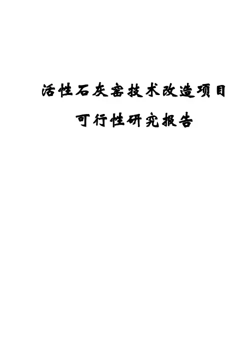活性石灰窑技术改造项目可行性研究报告