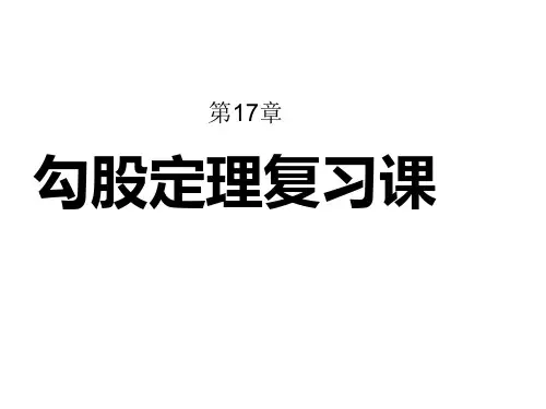 八年级下人教版勾股定理复习课件(新)