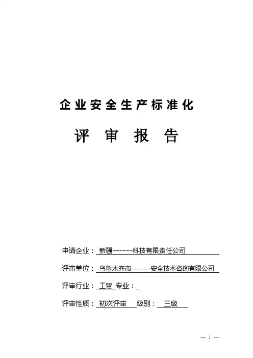 企业安全生产标准化评审报告