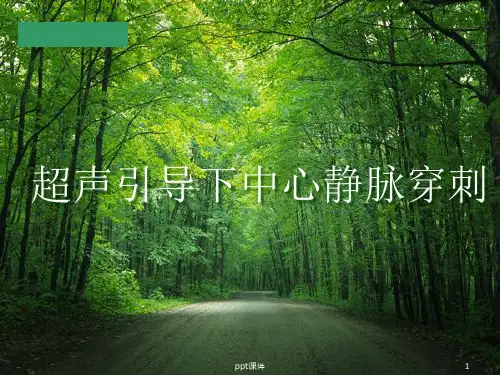 超声引导下中心静脉穿刺【麻醉科】  ppt课件