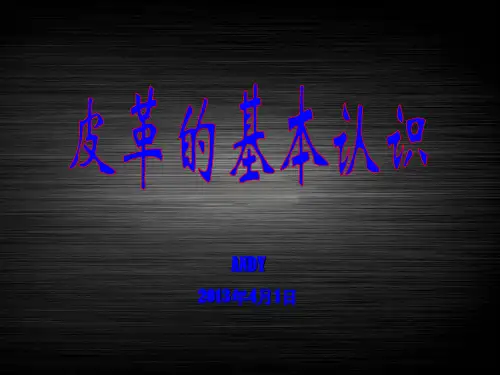 皮料的基本认识