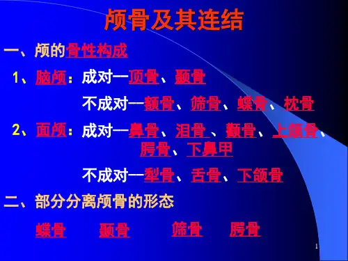 中筛窦上颌窦额窦经下鼻道PPT课件