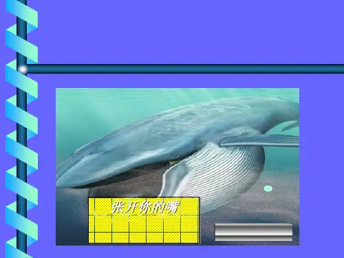 口才训练培训教材(PPT 36张)
