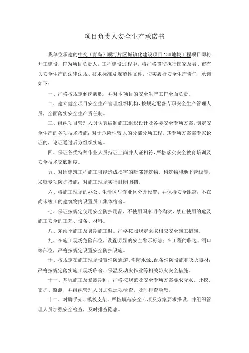 项目负责人安全生产承诺书