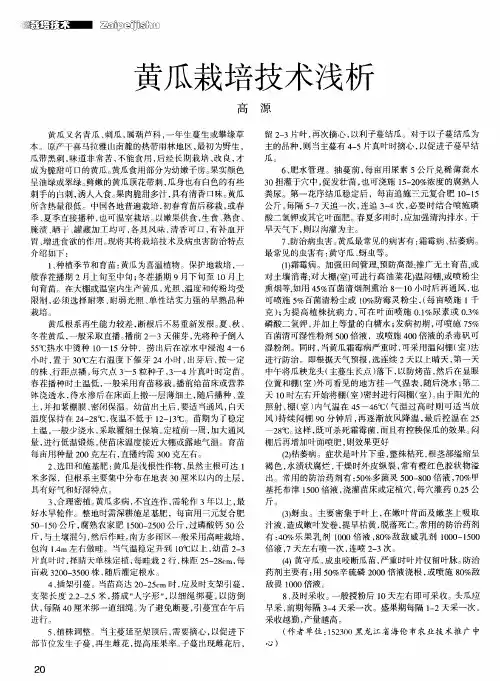 黄瓜栽培技术浅析