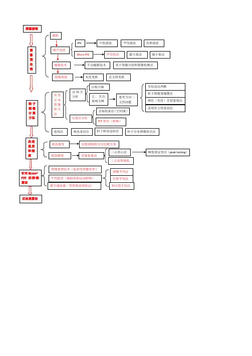 PIV数据处理流程图