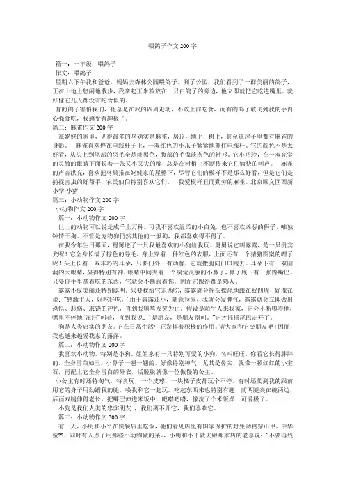 喂鸽子作文200字