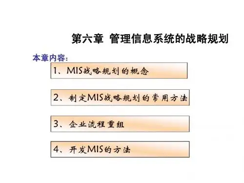 第六章 管理信息系统的战略规划