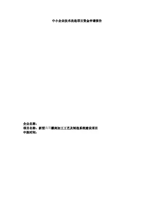 中小企业技改项目申请报告