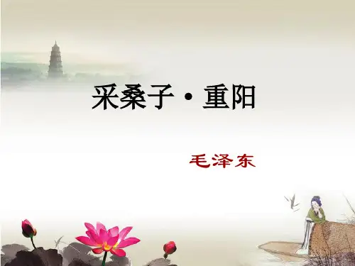 《采桑子·重阳》赏析