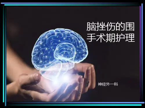 脑挫伤PPT课件