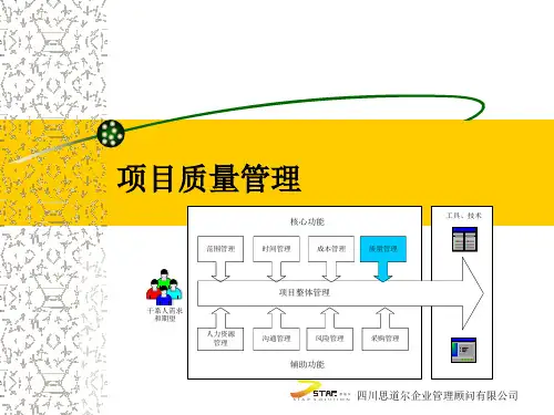组织级项目管理基本原理
