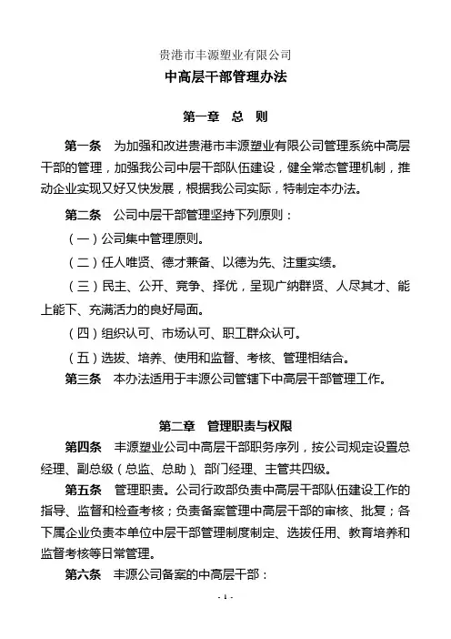 企业中层干部管理办法