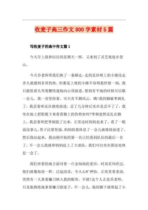 收麦子高三作文800字素材5篇