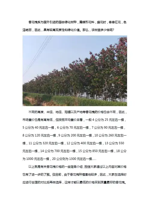 香花槐价格是多少