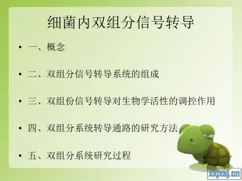 细菌内双组分信号传导全解