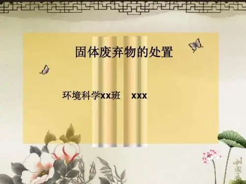 固体废弃物的处理