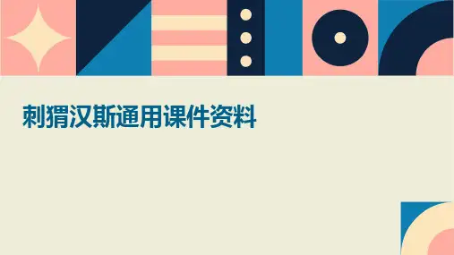刺猬汉斯通用课件资料