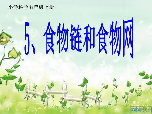 5食物链和食物网 PPT课件