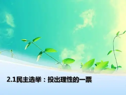 2.1民主选举：投出理性的一票