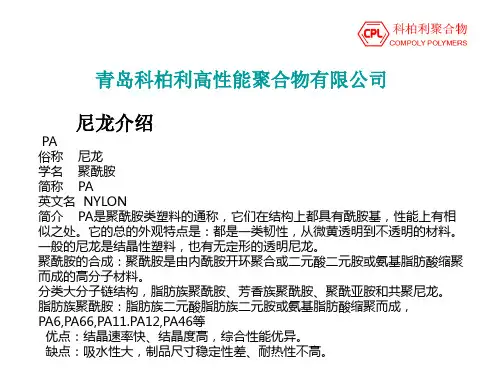 高温尼龙介绍