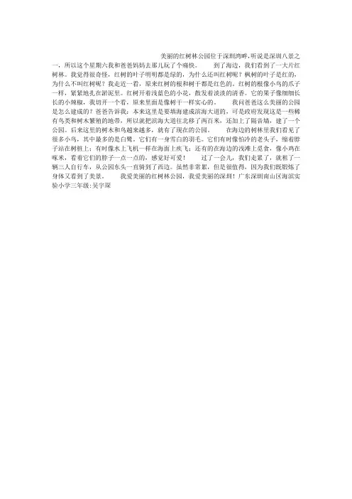 美丽的红树林公园作文500字