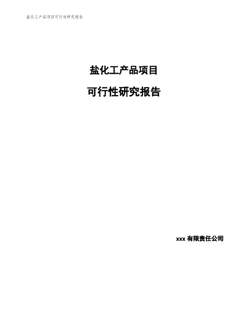 盐化工产品项目可行性研究报告