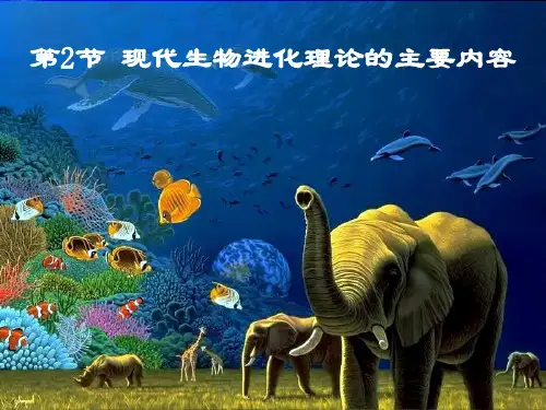 第2节 现代生物进化理论的主要内容2013a