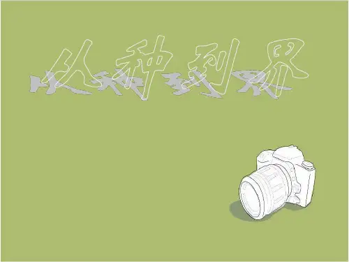 人教版八年级生物上册第六单元第一章第二节从种到界课件
