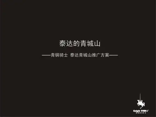 DCYX青铜骑士泰达青城山策略传播案