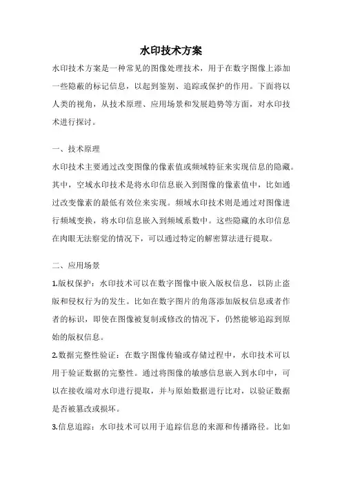 水印技术方案