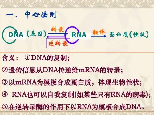 高三生物一轮复习基因对性状的控制
